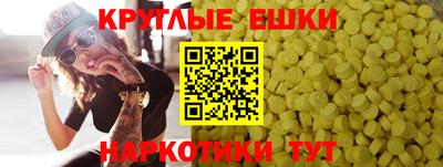 стаф Кимры