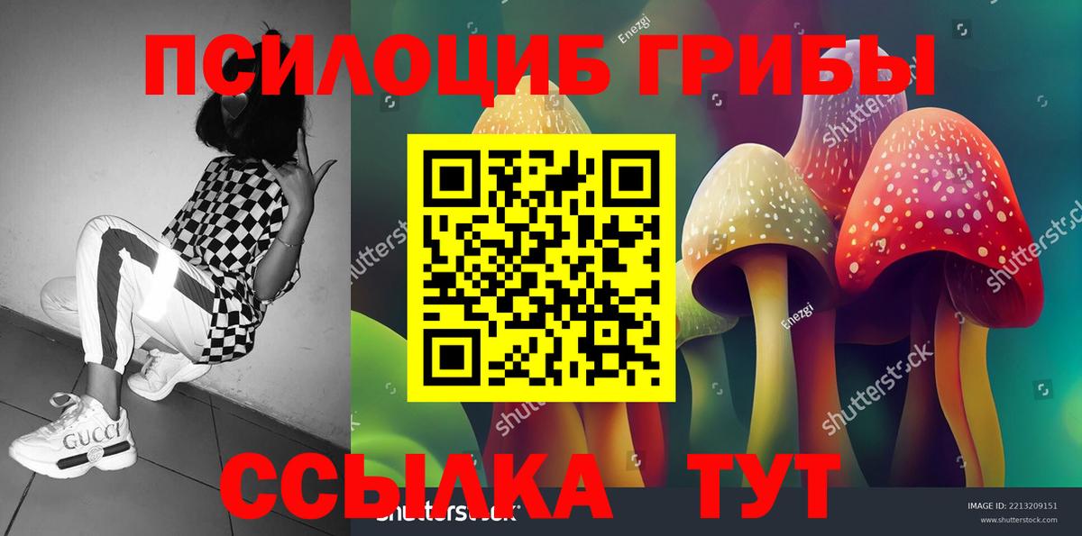 Галлюциногенные грибы Psilocybine cubensis  наркошоп  Коммунар  Псилоцибиновые грибы мухоморы  Вход с VPN 